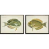 Kirkland's Home Acanthurus Fish Framed Art Prints, Set Of 2- Framed Art
