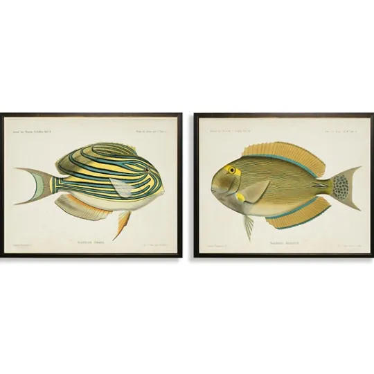 Kirkland's Home Acanthurus Fish Framed Art Prints, Set Of 2- Framed Art