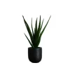 Kirkland's Home Agave Arrangement In Black Decorative Pot- Arrangements & Greenery