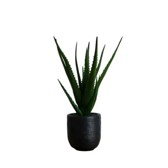 Kirkland's Home Agave Arrangement In Black Decorative Pot- Arrangements & Greenery