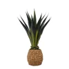 Kirkland's Home Agave Arrangement In Natural Woven Basket- Trees & Topiaries