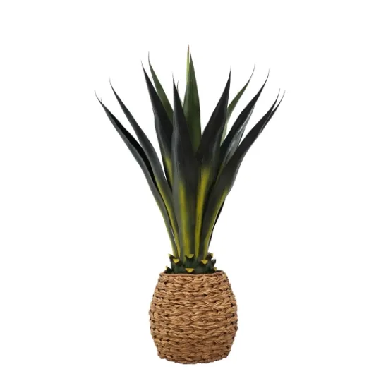 Kirkland's Home Agave Arrangement In Natural Woven Basket- Trees & Topiaries