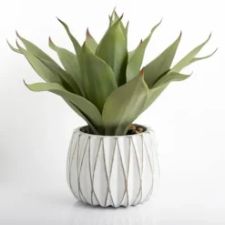 Kirkland's Home Agave Succulent In White Pot- Arrangements & Greenery