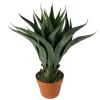 Kirkland's Home Agave Succulent Plant In Terracotta Planter- Arrangements & Greenery