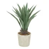 Kirkland's Home Aloe Barbadensis In Pebble Planter- Arrangements & Greenery