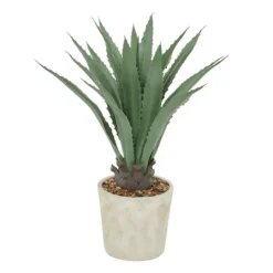 Kirkland's Home Aloe Barbadensis In Pebble Planter- Arrangements & Greenery