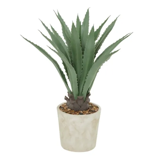 Kirkland's Home Aloe Barbadensis In Pebble Planter- Arrangements & Greenery