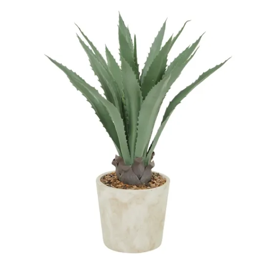 Kirkland's Home Aloe Barbadensis In Pebble Planter- Arrangements & Greenery