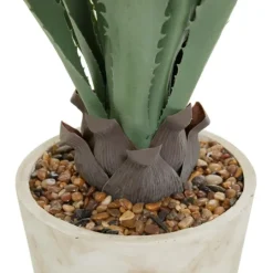 Kirkland's Home Aloe Barbadensis In Pebble Planter- Arrangements & Greenery