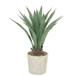 Kirkland's Home Aloe Barbadensis In Pebble Planter- Arrangements & Greenery