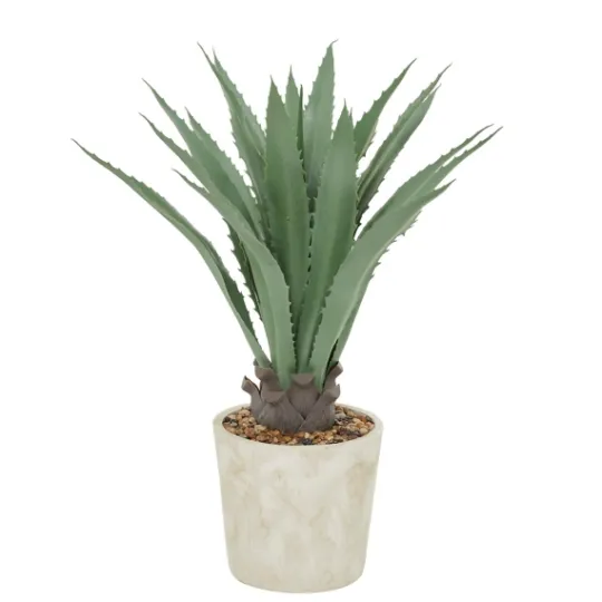 Kirkland's Home Aloe Barbadensis In Pebble Planter- Arrangements & Greenery