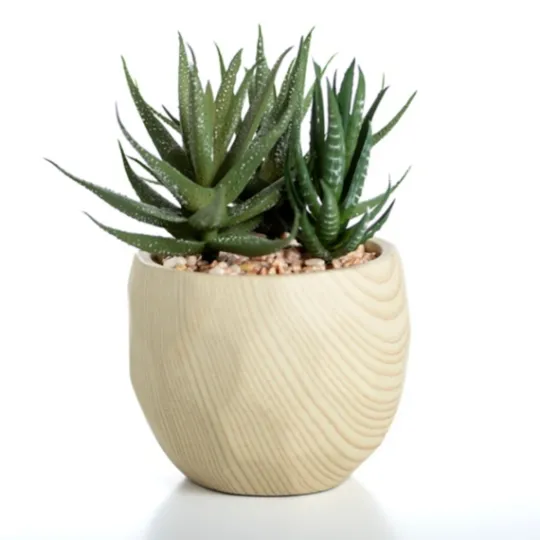 Kirkland's Home Aloe Succulent Arrangement In Natural Pot- Arrangements & Greenery