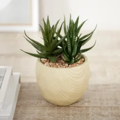 Kirkland's Home Aloe Succulent Arrangement In Natural Pot- Arrangements & Greenery
