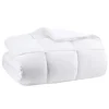 Kirkland's Home Antimicrobial Down Alternative Queen Comforter- Comforters