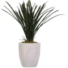 Kirkland's Home Areca Grass In Mossy White Planter- Arrangements & Greenery