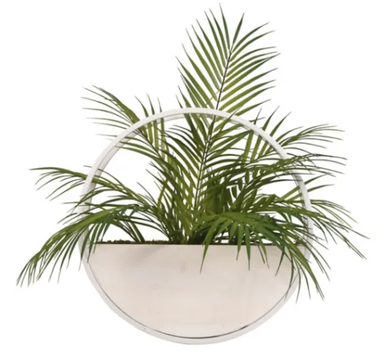 Kirkland's Home Areca Palm In Round Sonce Planter- Arrangements & Greenery
