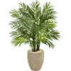 Kirkland's Home Areca Palm Tree In Sandy Planter- Trees & Topiaries