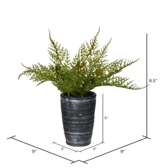 Kirkland's Home Asparagus Fern In Tall Black Planter- Arrangements & Greenery