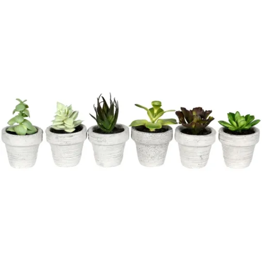 Kirkland's Home Assorted Potted Succulent Arrangements, Set Of 6- Arrangements & Greenery