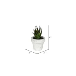 Kirkland's Home Assorted Potted Succulent Arrangements, Set Of 6- Arrangements & Greenery