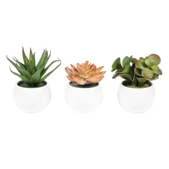 Kirkland's Home Assorted Succulents In White Planters, Set Of 3- Arrangements & Greenery
