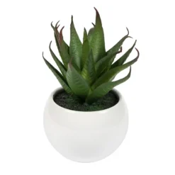 Kirkland's Home Assorted Succulents In White Planters, Set Of 3- Arrangements & Greenery