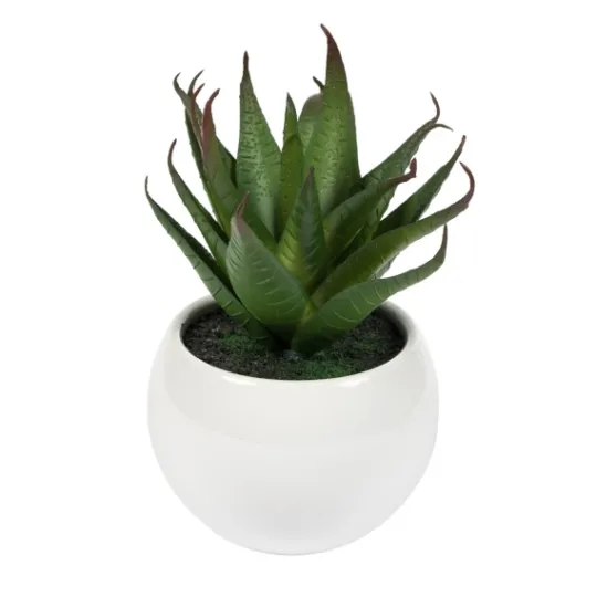 Kirkland's Home Assorted Succulents In White Planters, Set Of 3- Arrangements & Greenery