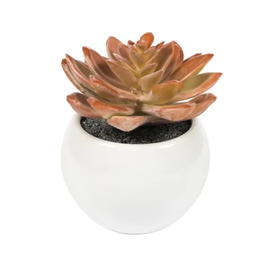 Kirkland's Home Assorted Succulents In White Planters, Set Of 3- Arrangements & Greenery