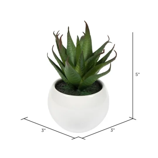Kirkland's Home Assorted Succulents In White Planters, Set Of 3- Arrangements & Greenery
