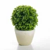 Kirkland's Home Ball Boxwood Topiary In Cement Planter- Arrangements & Greenery