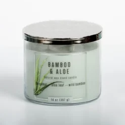 Kirkland's Home Bamboo Aloe 14 Oz. Triple Wick Jar Candle- Candles
