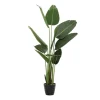 Kirkland's Home Banana Tree In Ribbed Rock Planter- Trees & Topiaries