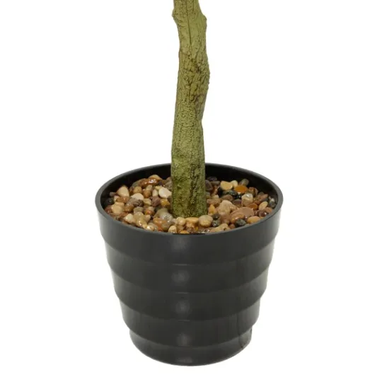 Kirkland's Home Banyan Tree In Ribbed Rock Planter- Trees & Topiaries