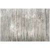 Kirkland's Home Birch Trees Canvas Art Print- Canvas Art