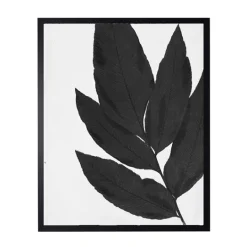 Kirkland's Home Black Cropped Leaf I Framed Art Print- Framed Art