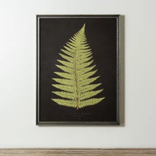 Kirkland's Home Black Fern Iv Framed Art Print- Framed Art
