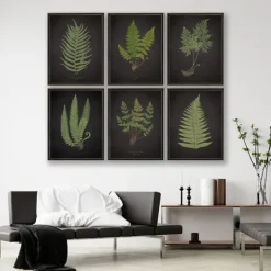 Kirkland's Home Black Fern Iv Framed Art Print- Framed Art