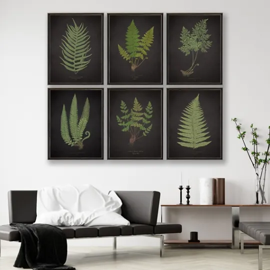 Kirkland's Home Black Fern Iv Framed Art Print- Framed Art