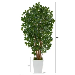 Kirkland's Home Black Olive Tree In White Planter, 5.5 Ft.- Trees & Topiaries