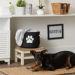 Kirkland's Home Black Paw Print Round Pet Basket- Baskets & Boxes