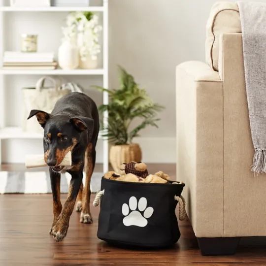 Kirkland's Home Black Paw Print Round Pet Basket- Baskets & Boxes