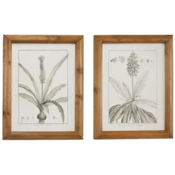 Kirkland's Home Black White Vintage Botanical Framed Art, Set Of 2- Framed Art