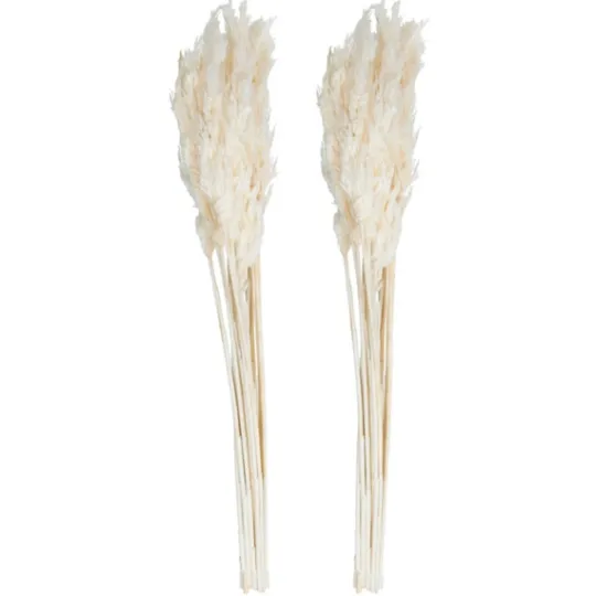 Kirkland's Home Bleached Preserved Plume Reed Bundles, Set Of 2- Stems & Bouquets