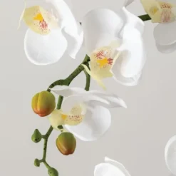 Kirkland's Home Blooming White Orchid Potted Floral Arrangement- Arrangements & Greenery