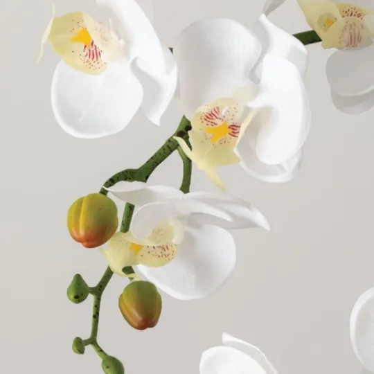 Kirkland's Home Blooming White Orchid Potted Floral Arrangement- Arrangements & Greenery
