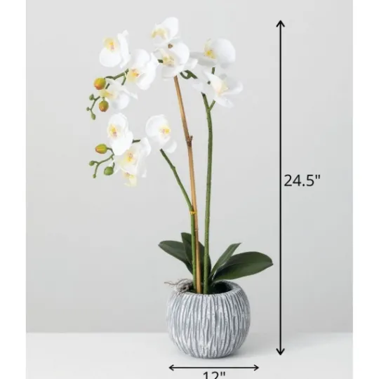 Kirkland's Home Blooming White Orchid Potted Floral Arrangement- Arrangements & Greenery