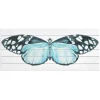 Kirkland's Home Blue Moth Wood Wall Plaque- Wall Plaques