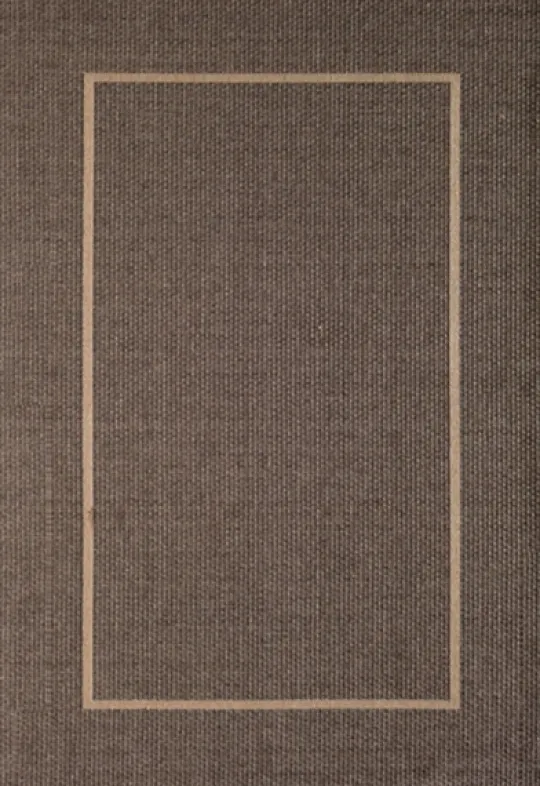 Kirkland's Home Bordered Outdoor Area Rug, 7X9- Outdoor Rugs
