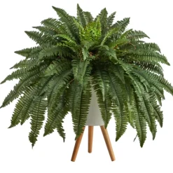 Kirkland's Home Boston Fern Arrangement In White Planter- Trees & Topiaries