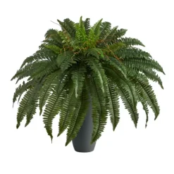 Kirkland's Home Boston Fern In Oblong Gray Planter- Arrangements & Greenery